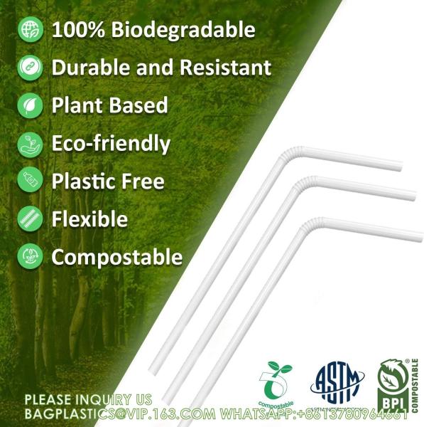 Compostable Straws 7 3/4 Inch Long - Clear Disposable Straws, Eco Friendly