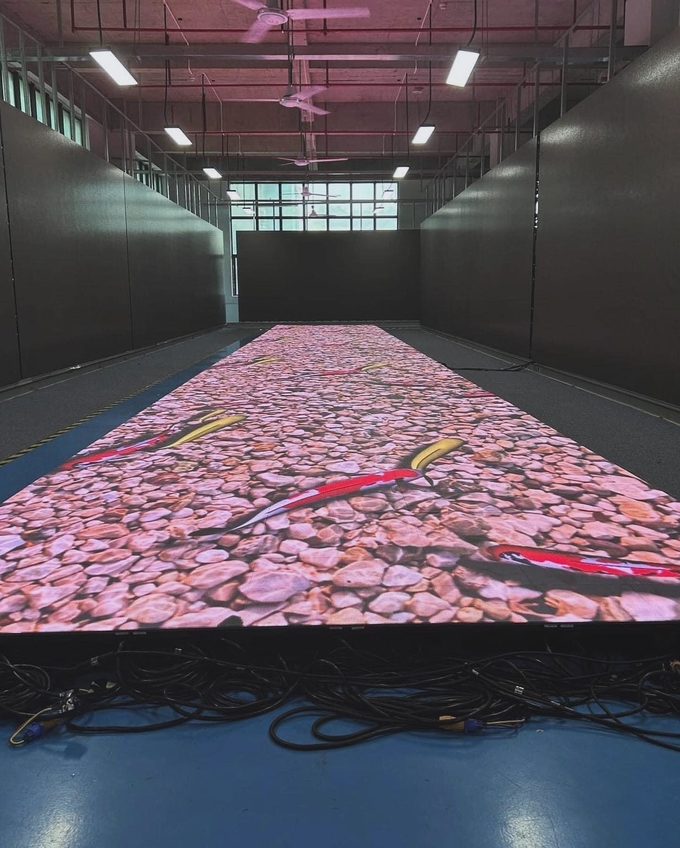 SMD3528 Light Up Dance Floor 320x160mm Led Module , 960 X960mm Led Cabinet