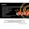 Buy cheap Customized Carbon Arrows For Archery Pro Shops, Archery Clubs, Archery Group, from wholesalers