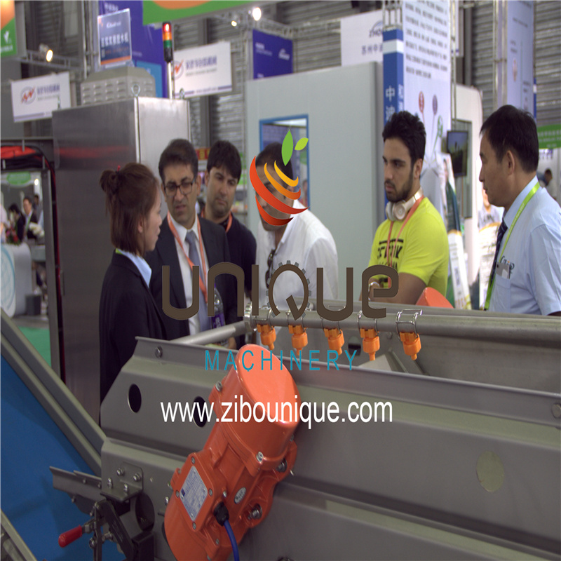 Industrial Stainless Steel 304 Juice Extractor for Fresh Citrus Lemon Orange Processing