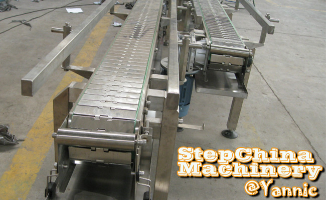 Customized Bottle Conveyor Systems For Empty Bottle Feeding Into Filling Machine