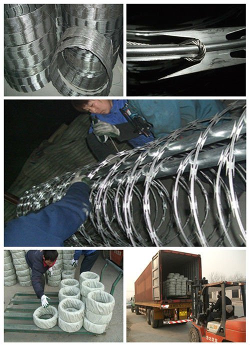 Anping factory hot dipped galvanized razor wire fence