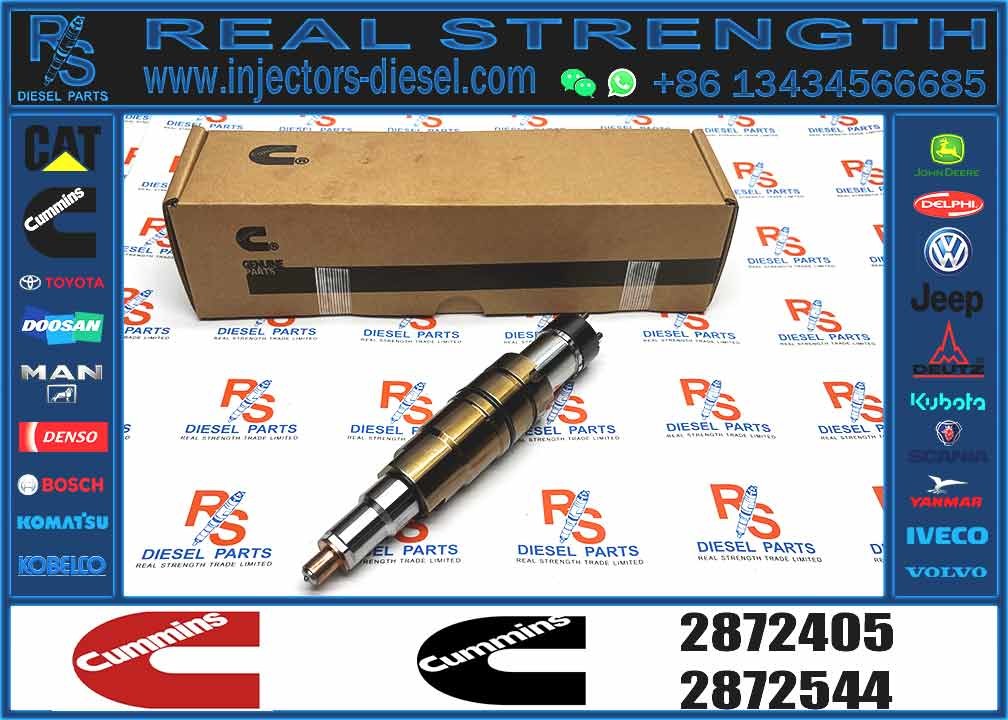 fuel injector 2872405 2894920 5579415