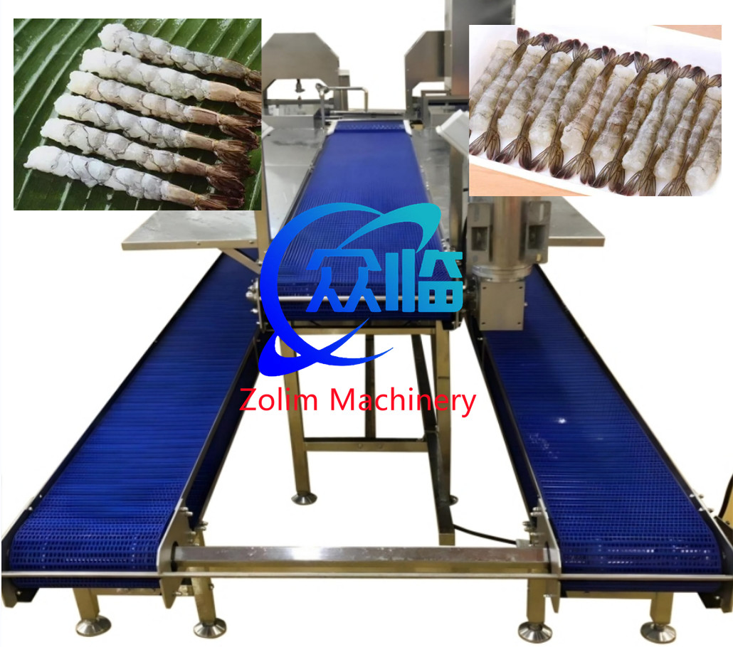 New Design Shrimp Stretching Line, Tempura Processing Line, NOBASHI Processing