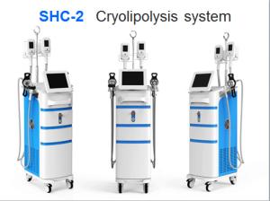  5 heads cryolipolysis fat freeze slimming machine for both home use and salon Manufactures