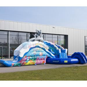 Amusement Park Inflatable Water Slide Pool Customized Size