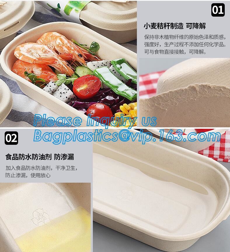 Meal Prep Containers Free Sample Bento Lunch Box Biodegradable Food Container Plastic Wheat Straw Lunch Box bagplastics