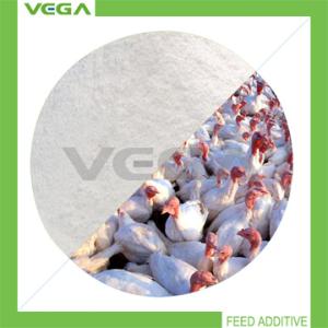  Micro-capsule Enrofloxacin 10% China Product Manufactures