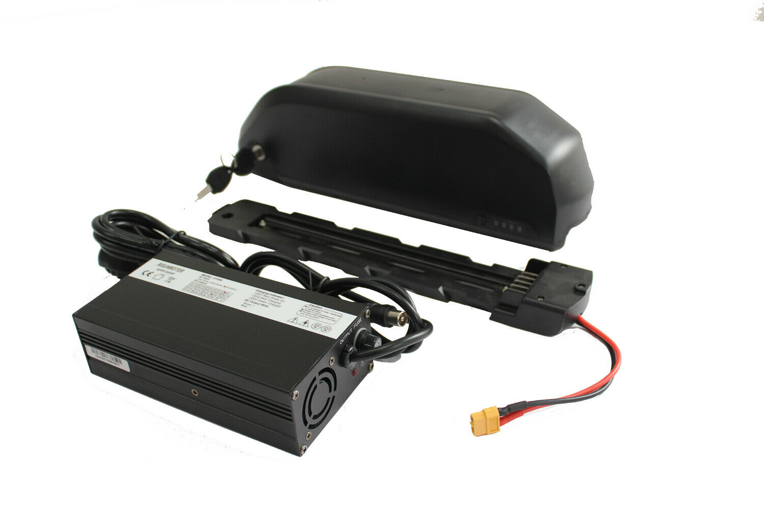 Dolphin Lithium Ion 48v 15ah Ebike Battery 18650 cell 36v 20ah