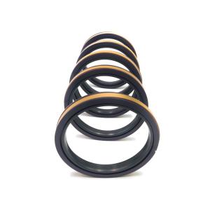  Customized Excavator Hydraulic Cylinder Seal DSI Spgw Piston Seal Manufactures