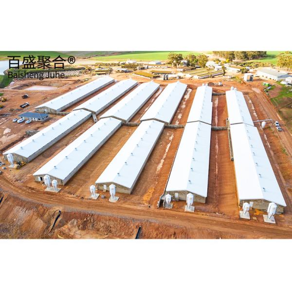 Customized Steel Poultry Farming Equipment for Chicken House Design and