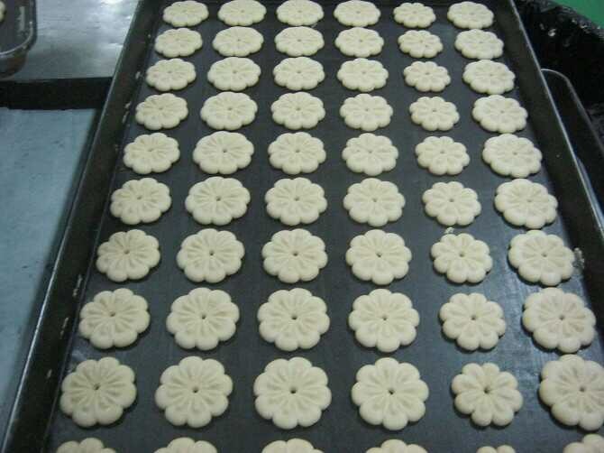 Skywin Biscuit Rotary Moulder Biscuit Production Machine PLC Controlled