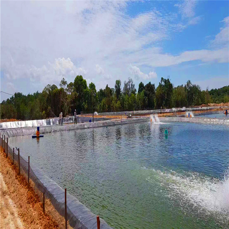 Store Sales Promotion HDPE Geomembrane Liner for Plastic Protection Requirements