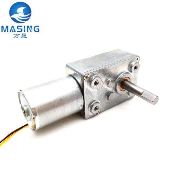Gearbox Brushless DC Worm Gear Motor Self Locking Low Noise 2430 Brushless Motor