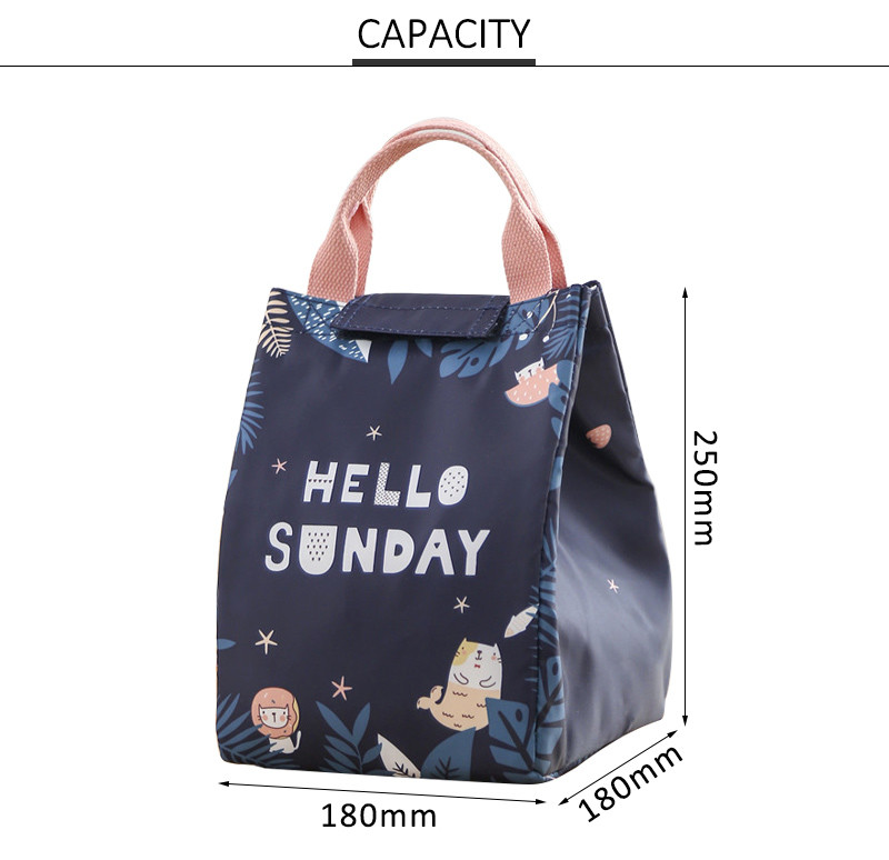 Water Resistant Polyester Insulated Lunch Cooler Bags