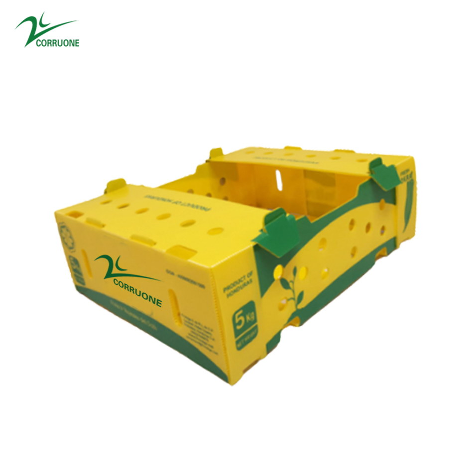 Embossing PP Vegetable Corrugated Boxes Rice Meat Corflute Box