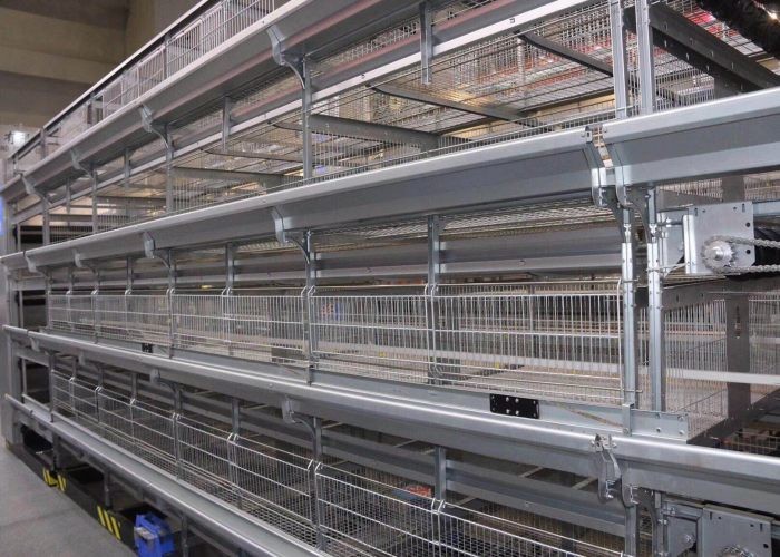 Small Brooding Baby Chick Cage / Layer Poultry Equipment 360 Degree Rotating Design