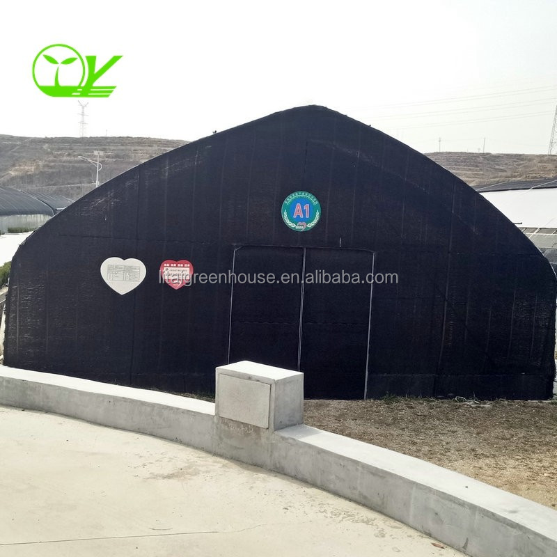 Film Covered Greenhouse for Agriculture in Namibia Affordable and Customizable Height