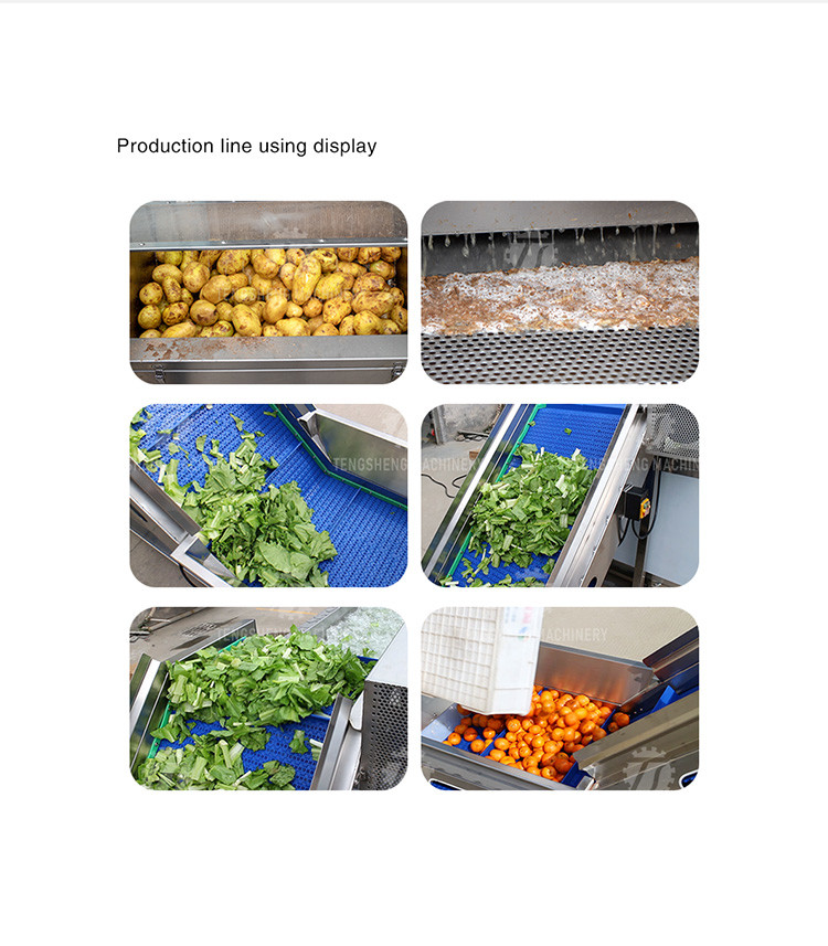 Stainless Steel Fruit And Vegetable Processing Line Brush Cleaning And Hoisting