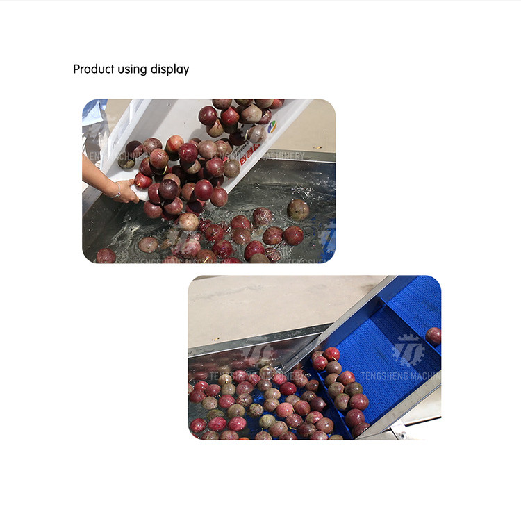 2pcs/Min Industrial Vegetable Processing Machine Automatic Elevator Food Conveying