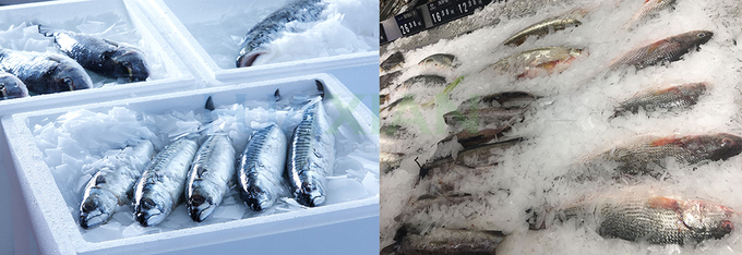 Integrated Ice Flake Making Machine 3 Ton Air Cooling Fresh Water