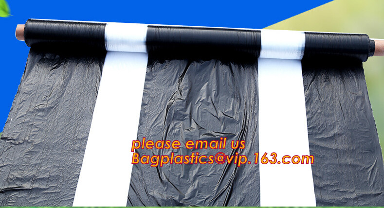 Transparent / Black / Silver / White color Plastic PE LDPE Agriculture Mulching Film,panda strawberry mulch film/black w