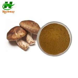  Shiitake Mushroom Extract Lentinus Edodes Extract 10%-50% Polysaccharide Lentinan Manufactures
