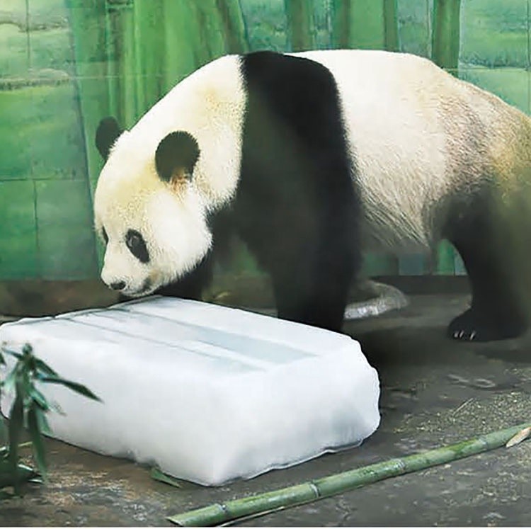 2 Ton Direct Cooling Block Ice Machine Automatic Free Spare Parts