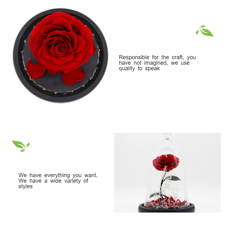 Customized Color Preserved Rose Glass Dome Beauty And The Beast