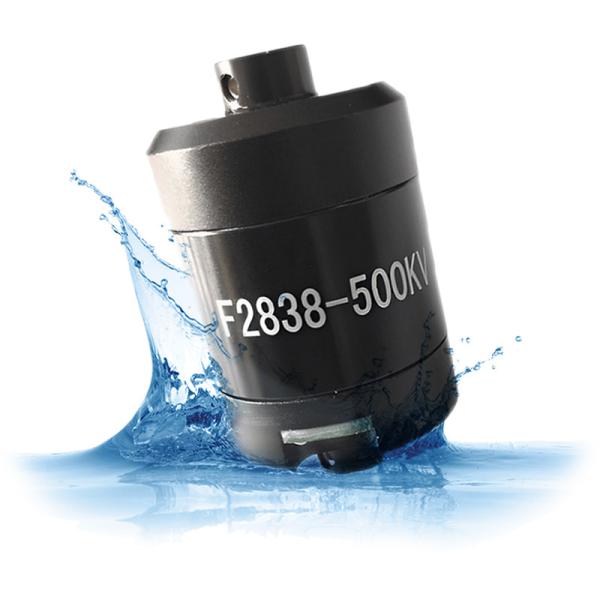 Faradyi Custom Waterproof Motor 28mm*38mm 12V 24V Nice Quality 5500rpm DC Motor
