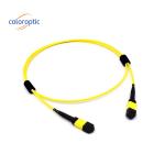 Mtp(Mpo) Singlemode 16 FIBRE G657.A1 (9/125) PATCH CABLE for PSM8 400G APC