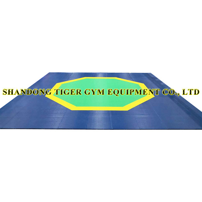 taekwondo mat octagonal and square type for competition and training