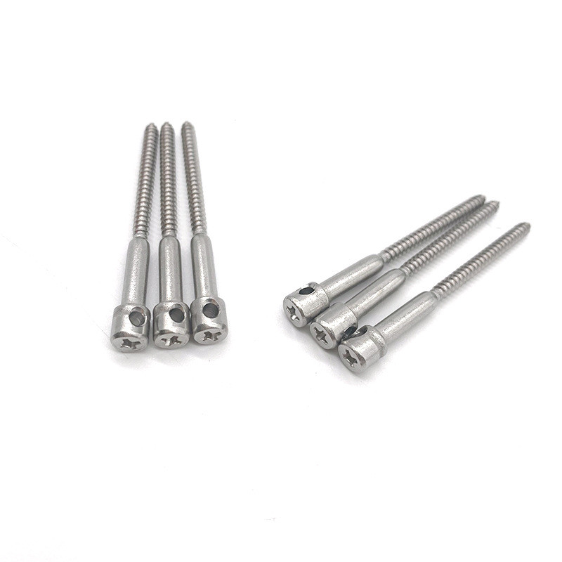 M4*20 Stainless Steel lead seal screw Cross Recessed Bored Head Electricity Meter Lead Seal Screw