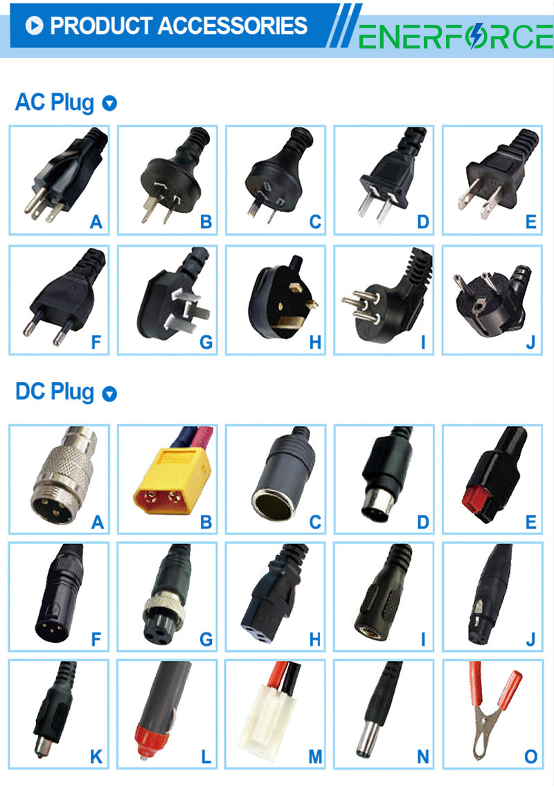 Electric Scooters Lithium Battery Accessories 220V AC 12V 24V 36V 48V 60V 72V