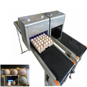  Variable Speed Automatic Egg Stamping Machine With Multiple High Effect Manufactures