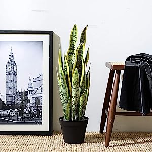 Artificial Snake Plant