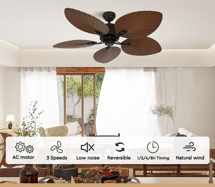 ceiling fan