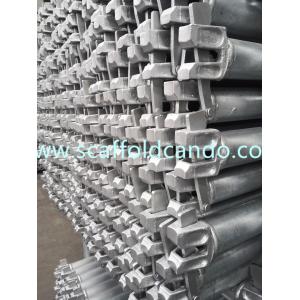 Factory specialized in Hot dip galvanized painted Ringlock scaffold ledger