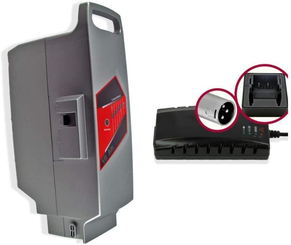 7S8P Panasonic 26v Battery , E Bike Battery Pack For Flyer C Serie T Serie L