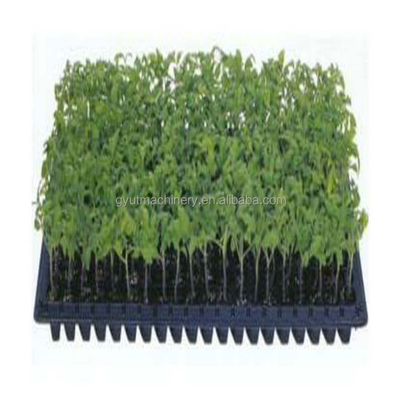 11 Rows Full Automatic Vegetable Tray Nursery Seedling Seeder for Quick Seed Planting