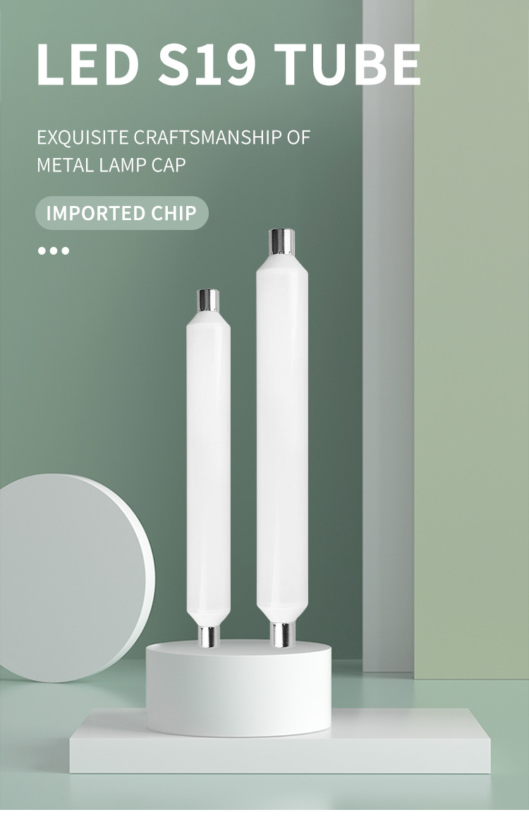 Led S19 Tube 6W 8W Led S19 Private Model S19 Mirror Front Lamp