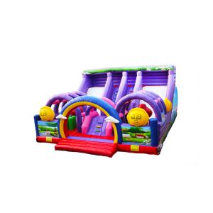  Customize Large Two Lane Slides Purple Inflatable Bouncer Slide Manufactures