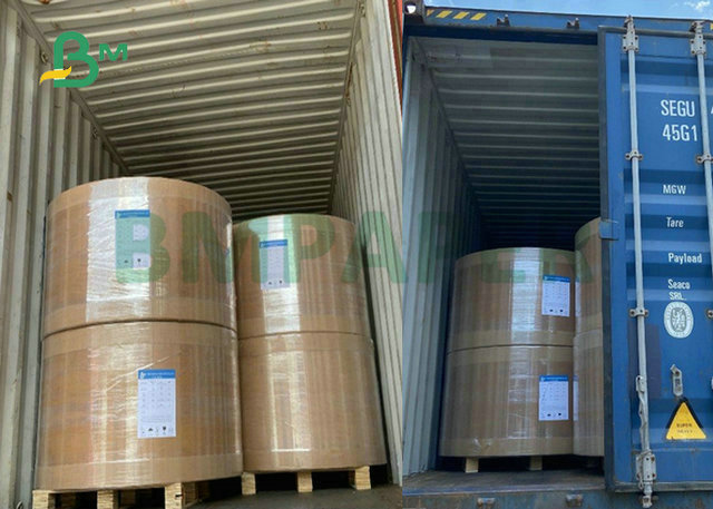 65 x 92cm 250gsm 300gsm 350gsm White Back Coated Duplex Board For Normal Package 