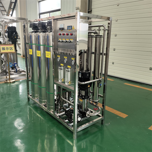 Customized Industrial Pure Water -Making Equipment EDI Reverse Osmosis Water Treatment System Commercial Water Purifier