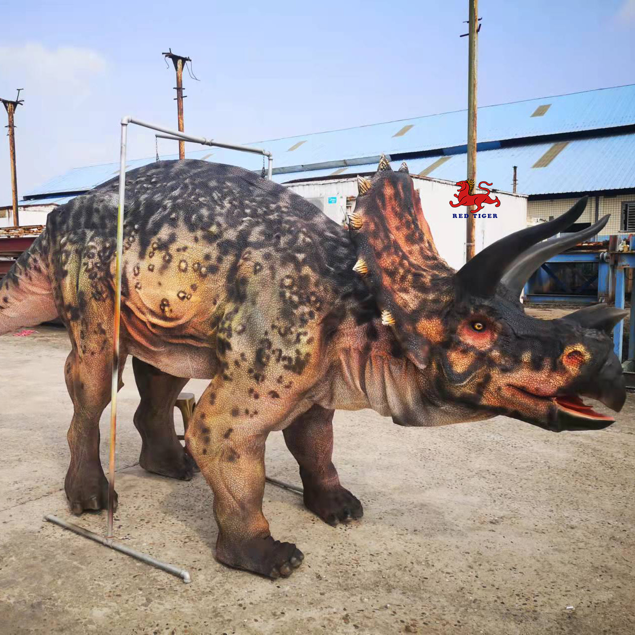 Custom Realistic Adult Triceratops Dinosaur Costume For Two Performers