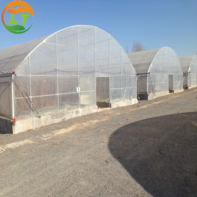 User-Friendly Single-Span Agricultural Greenhouses for Large Agricultural Operations