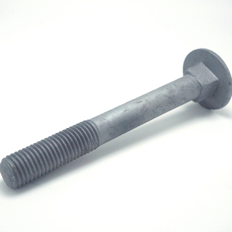 Custom Mark According to Your Specification High Strength Din 603 Carriage Bolts Stainless Steel Grade 4.8/6.8/8.8