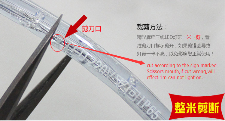 110V /220V led rope light