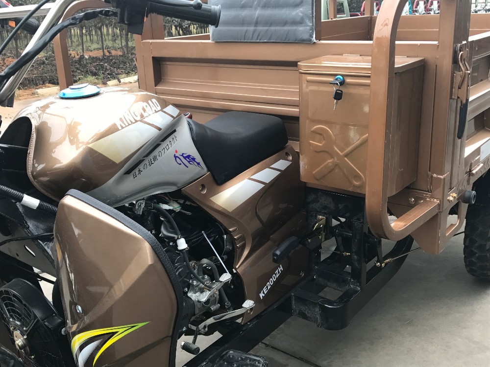 2t Gas Gasoline Scooter 250cc Cargo Tuk Tuk