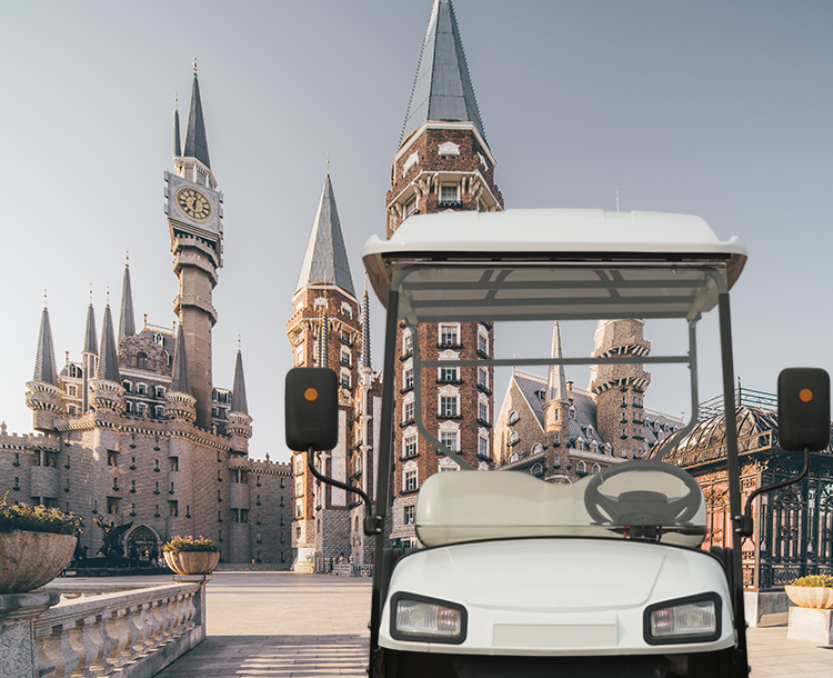 Left Hand Drive Electric Golf Buggy Lithium Battery Operated Golf Carts 2-10 Seats
